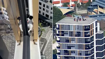 Jack Russell Terrier Rescued from 13th Floor Ledge in Sydney