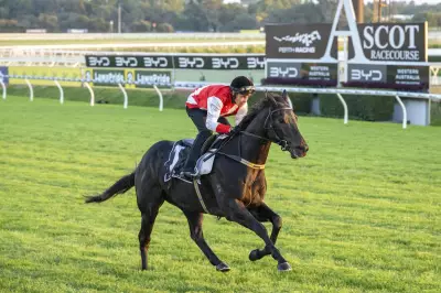Jigsaw Firm Favourite for $5 Million BYD Quokka at Ascot This Saturday