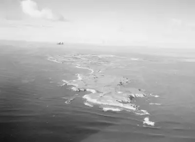 Rottnest Island's Colonial Past Revealed in Timperley Memoir