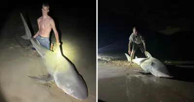 Shark Bite Trauma Kits for All Surf Clubs After Attack Spike