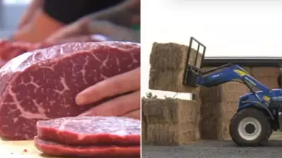 South Australian Farmers Warn of 20% Meat Price Hike Amid Soaring Costs