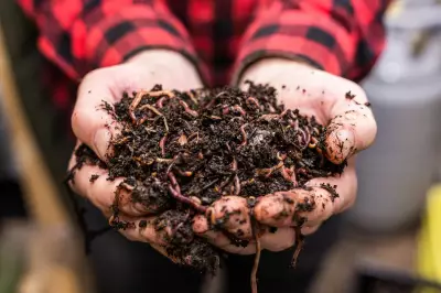Transform Your Garden with a Worm Farm: A Simple Guide to Efficient Waste Recycling
