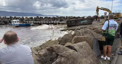 Whale Carcass Towed to Ramp Expected to Attract More Sharks