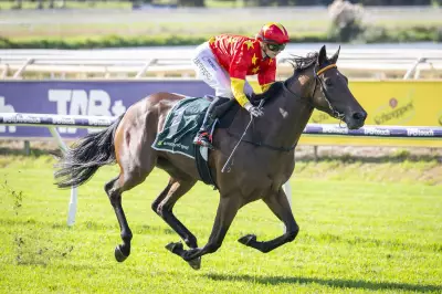 Wonderfully Made Strongly Supported to Win WATC Derby Despite Setback