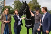 Adelaide Festival Gallops Ahead with Horse-Powered Olympic-Level Event