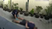 Alleged Car Thief Lands on Cactus While Fleeing Police in Brisbane