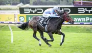 Anaconda Jones Breaks Maiden with Blistering Ascot Win