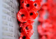 Andrew Miller: Pointless Deaths of Young in Conflict Must Be Banished Like Smallpox