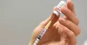 Australia's Childhood Immunisation Rates Decline, Putting Children at Risk