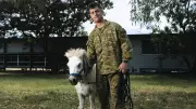 Beloved Army Pony Septimus Quintus Retires After Years of Service