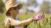 Bowen Farm's Organic Flower Ambition Meets Surging Local Demand