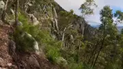 Bushwalker Dies After 20-Metre Fall on Mt Maroon, Response Delays Under Review