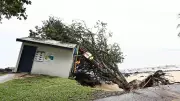 Cairns Council to Debate Erosion Crisis in Northern Beaches
