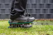 Charlie Albone's Guide: Preparing Your Lawn for the Winter Season