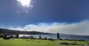 Critical Bushfire Safety Measures: Protecting Homes and Health