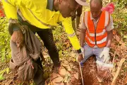 Dalaroo Metals Launches Major Gold Soil Sampling Campaign in West Africa