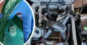 Drone Used for Meth Delivery Crashes in Wollongong, Two Arrested