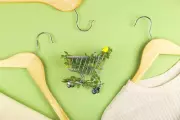Easy Ways to Make Your Home More Sustainable Without Breaking the Bank