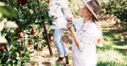 Experience the Apple Harvest: Pick, Taste, and Sip in Illawarra This Autumn