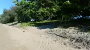 Families Demand Stinger Net at Saunders Beach Over Crocodile and Jellyfish Fears