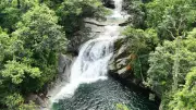Four Stranded on Boulder at Josephine Falls Prompt Swift Rescue Operation