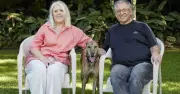 From Foster to Forever: A Greyhound Adoption Success Story in NSW