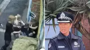 Geelong Police Vow Justice for Teens in Disgusting Assault Case