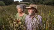Geelong's Grounded Farming Festival Tackles Food Supply Crisis with Sustainable Solutions