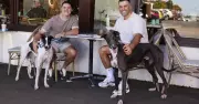 Greyhounds As Pets National Adoption Day: Spotlight on Sydney Royal Easter Show Success