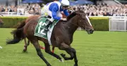 Hawkesbury Saturday Racing Tips: Races 1-10 Previews & Selections