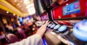 Hunter Gamblers Lose $660 Million Annually as Reforms Fail to Curb Losses