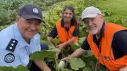 Inmates Cultivate Hope: Prison Garden Feeds Struggling Families