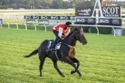 Jigsaw Firm Favourite for $5 Million BYD Quokka at Ascot This Saturday