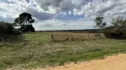 Leopold Subdivision Plan Under Review by Bawtree Road Planning Committee