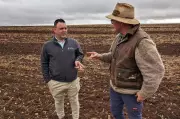 Mouse Plague Threatens South Australia's Prime Farmland, Farmers Warned