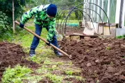 Must-Have Tools to Prepare Your Garden for Winter
