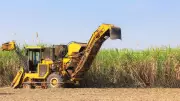 North Queensland Farmers Face Catastrophic Fuel Crisis, Paralyzing Agriculture