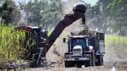 North Queensland Sugar Industry Faces Crisis as Iran Conflict Drives Diesel Costs Up