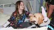 Police Dog Daphne Brings Easter Joy to Young Patients at Cairns Hospital
