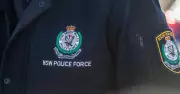 Police Seek Witnesses After Assault and Attempted Robbery in Wallsend