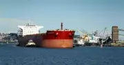 Port of Newcastle Discloses $112,000 in Political Donations Amid Diversification Push