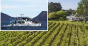 Port Stephens Valley Holidays Thrive Despite Rising Fuel Price Concerns