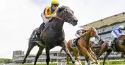 Randwick Racing Preview: Expert Tips for Saturday's Feature Races