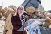 Rita Saffioti's 10 Strategies for Affordable Train Travel and Regional Subsidies
