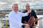 Seafood Industry Faces Decade-Long Recovery from Algal Bloom Crisis