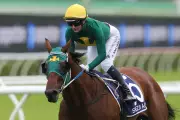 Sheza Alibi Dominates Doncaster Handicap, Cementing Status as Racing's Brightest Star