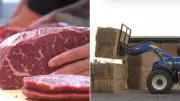 South Australian Farmers Warn of 20% Meat Price Hike Amid Soaring Costs