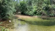 Swimmer Hospitalised with Suspected Spinal Injuries After Diving at Alligators Nest
