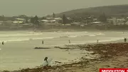 Teen Surfer Escapes Bronze Whaler Shark Attack in South Australia