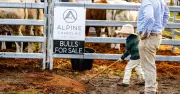 Tocal Field Days 2026: Showcasing New Agricultural Frontiers